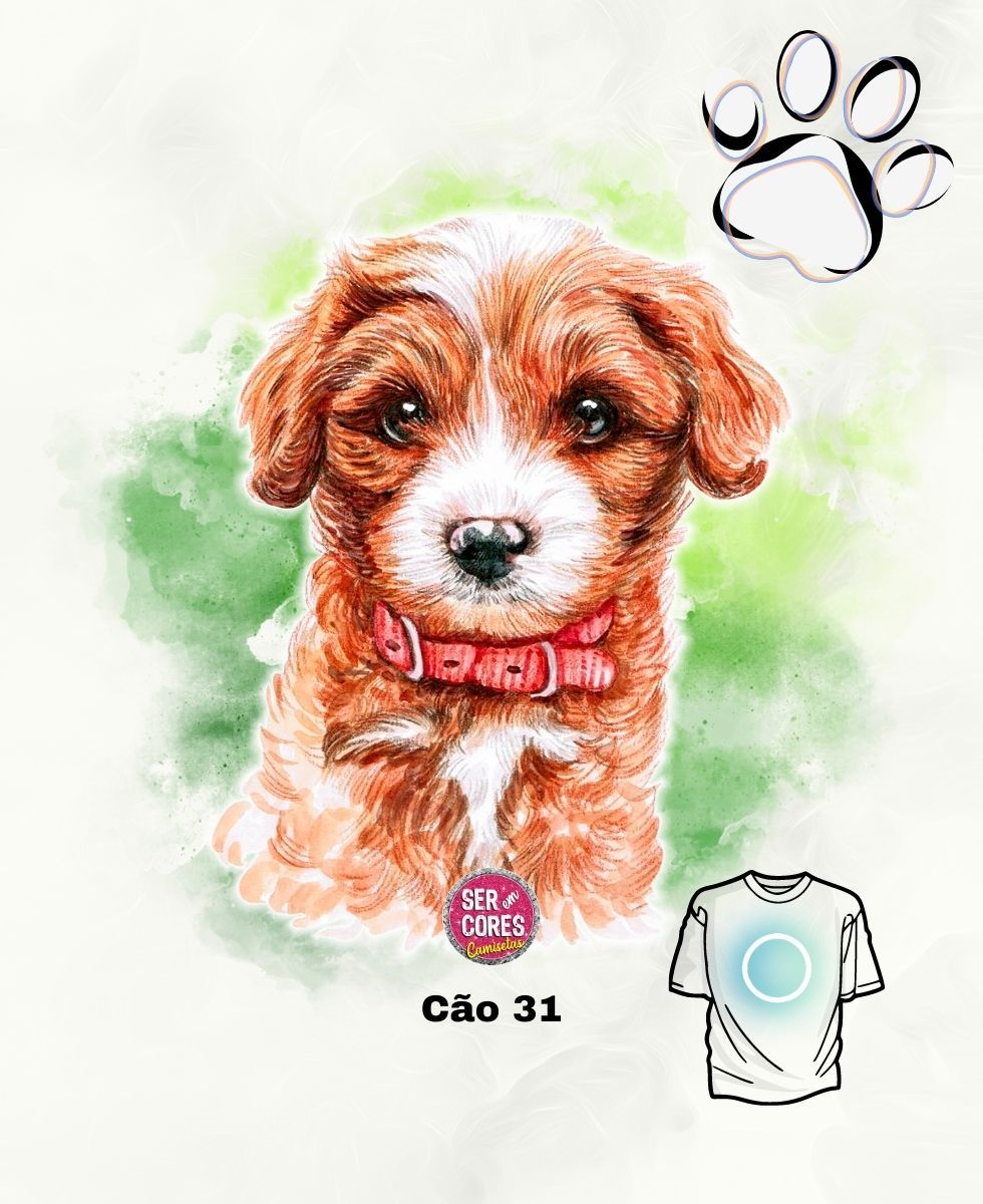 Nome do produto: Camiseta de Cachorro 31 (bichon Havanese - filhote) Seremcores 