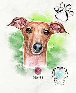 Camiseta de Cachorro 35 (greyhound - caramelo) Seremcores 