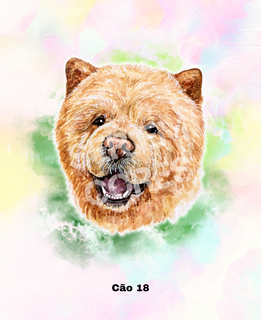 Babylong fem - Cachorro 18 (Chow Chow) Seremcores