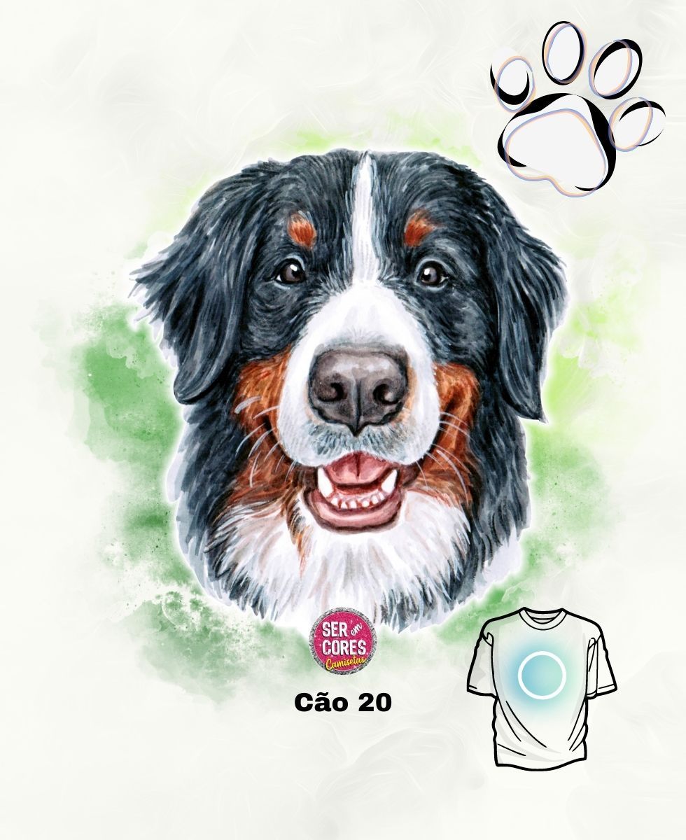 Nome do produto: Camiseta de Cachorro 20 (bernese) Seremcores 
