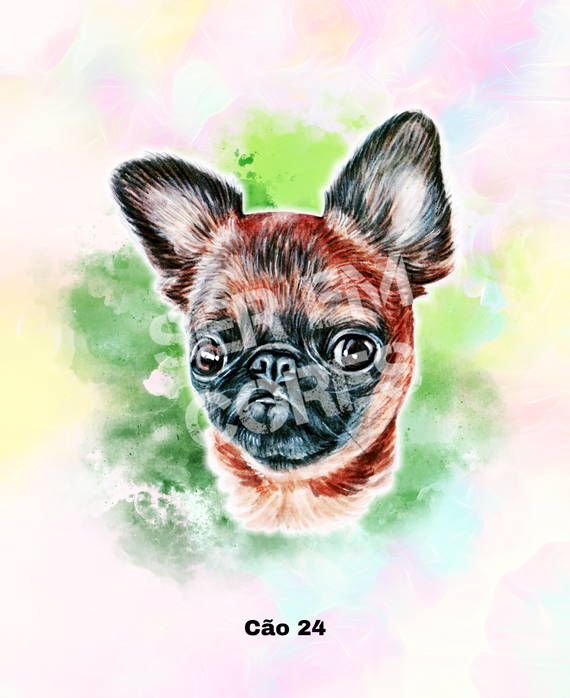 Babylong fem - Cachorro 24 (Griffon) Seremcores