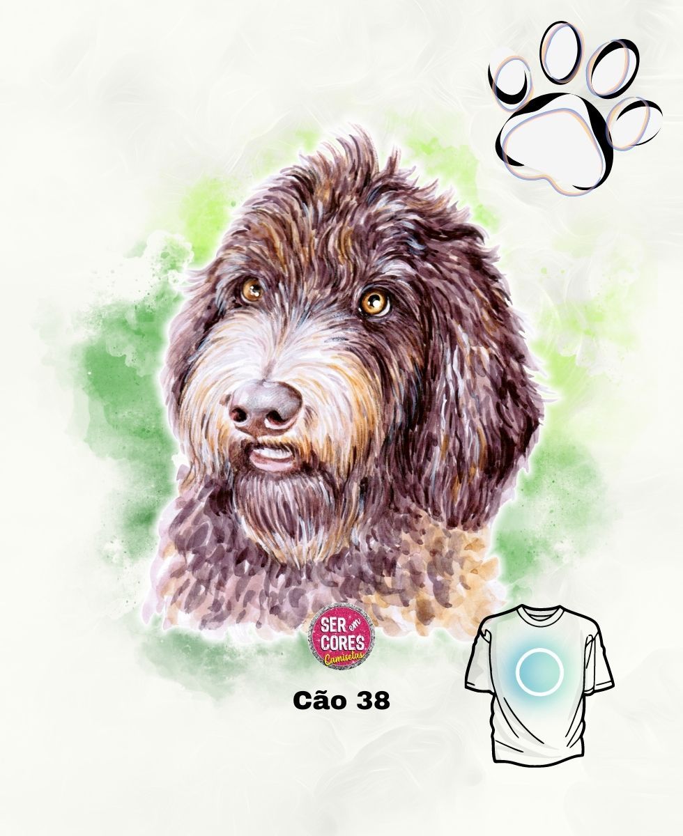 Nome do produto: Camiseta de Cachorro 38 (barbet - peludo) Seremcores 