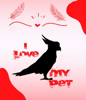 Nome do produto T-Shirt Quality - I Love My Pet - Cacatua