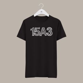 Camiseta 15A3