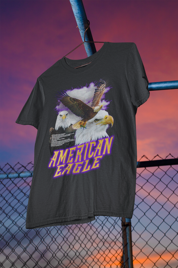 Camiseta Estonada American Eagle