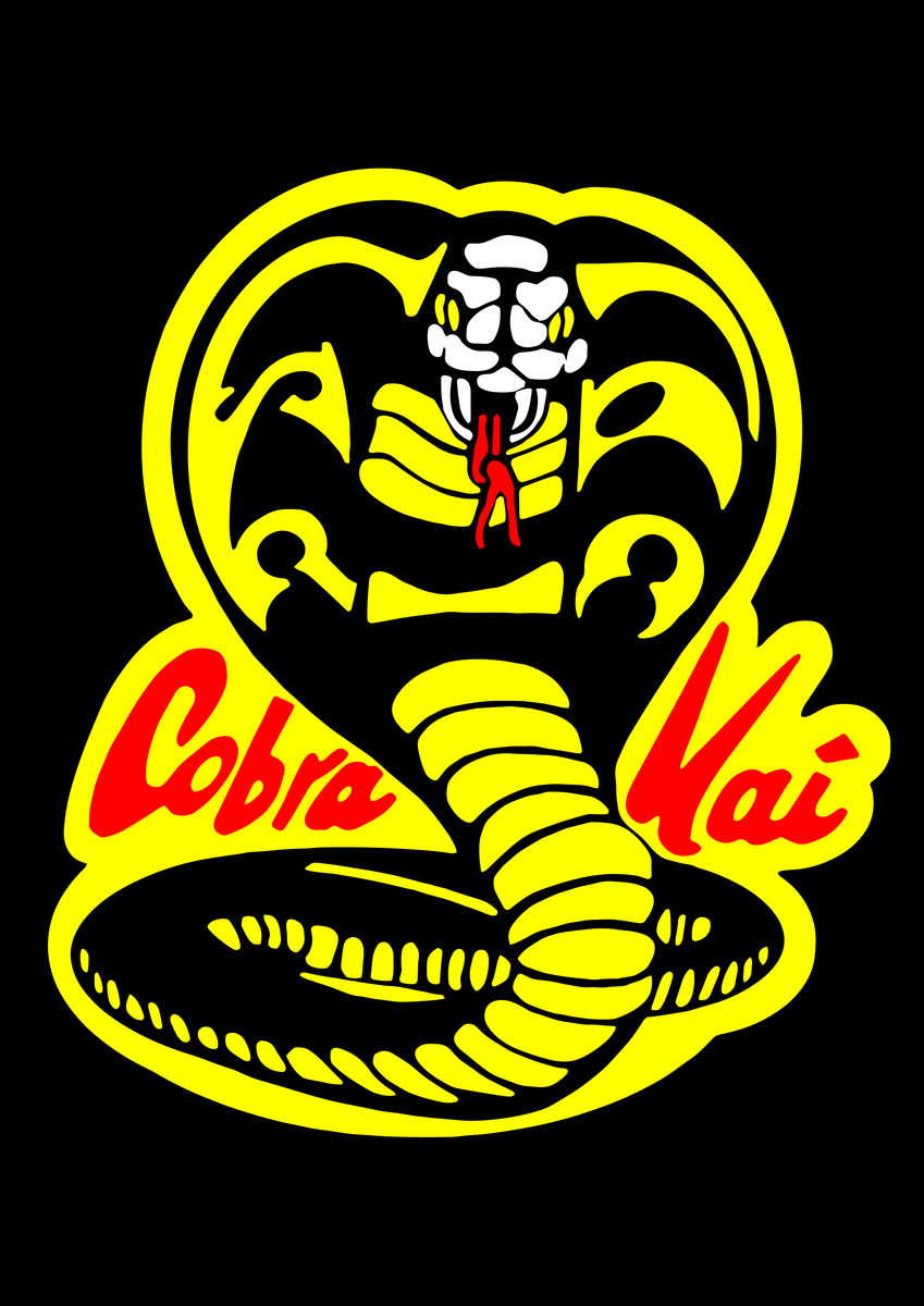 Nome do produto: Cobra kai - Karate kid
