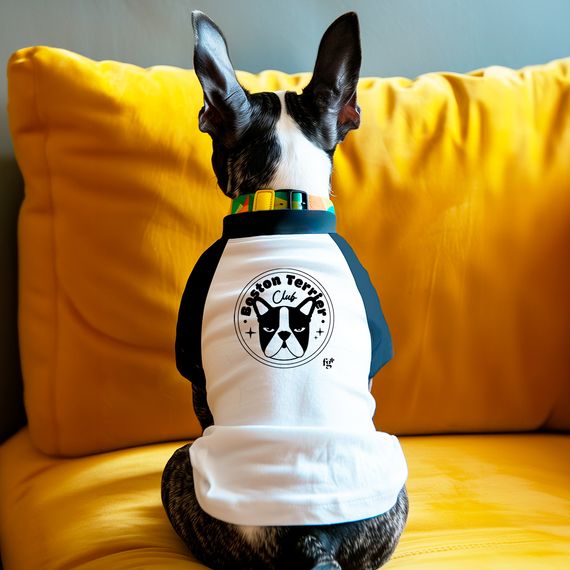 Dog T-shirt Boston Terrier Club