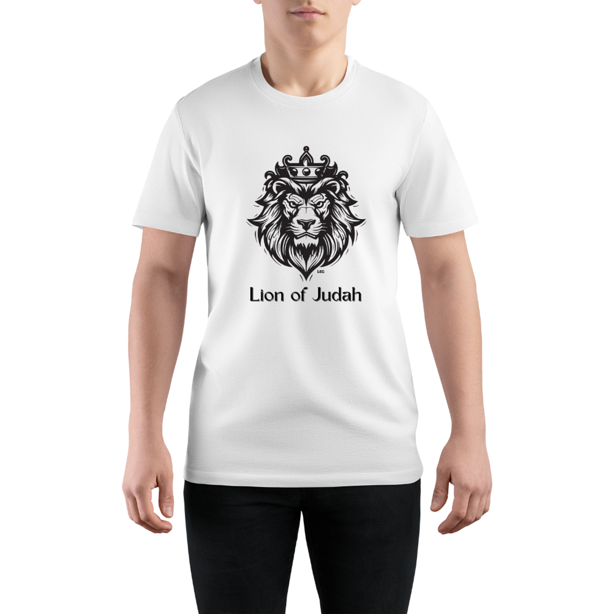 Nome do produto: Camiseta Lion of Judah