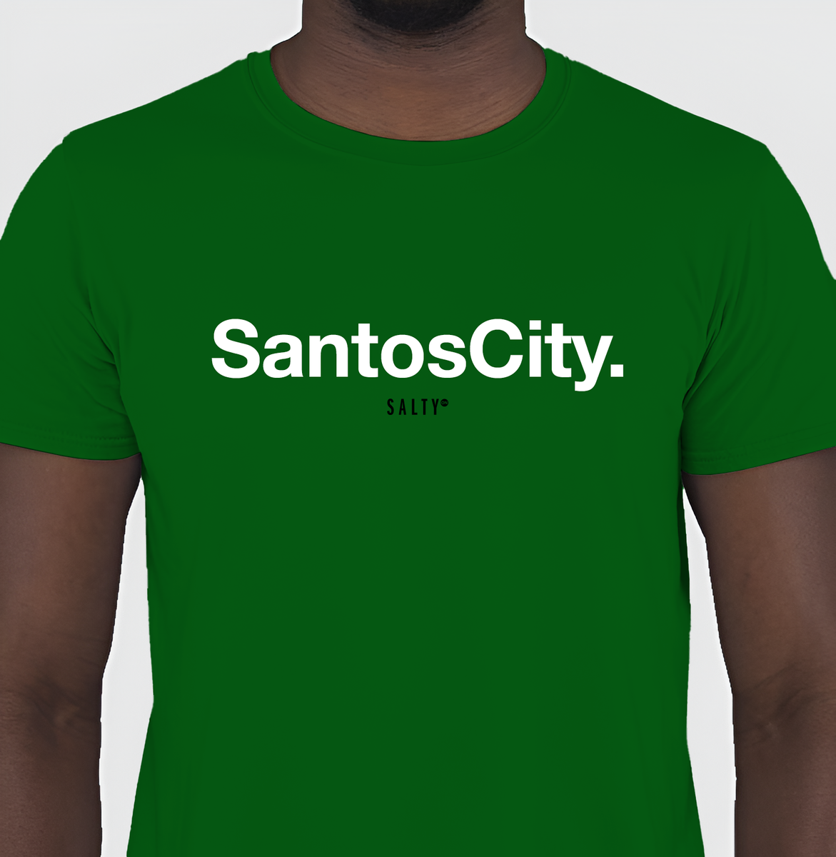 Nome do produto: T-Shirt SantosCity