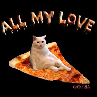 Nome do produtoMoletom All My Love - Gatos e PIzza 