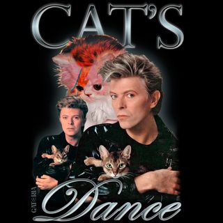 Nome do produtoCamiseta David Bowie - Cat's Dance - Preto