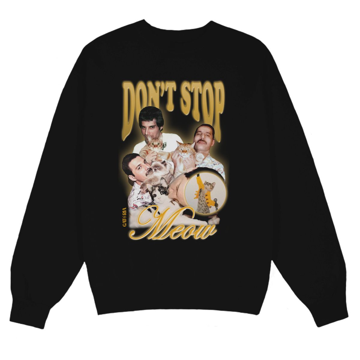 Nome do produto: Moletom Freddie Mercury - Don\'t Stop Meow