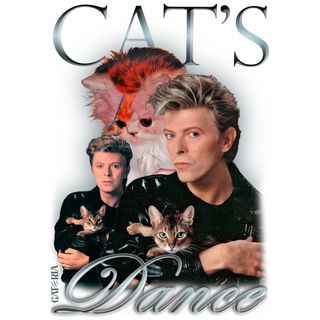 Nome do produtoCamiseta David Bowie - Cat's Dance - Branco