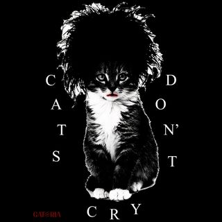 Nome do produtoCamiseta The Cure - Cats Don't Cry - Preto