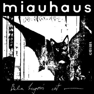 Nome do produtoMOletom Bauhaus - Miauhaus - Preto