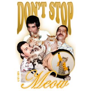 Nome do produtoBaby Look Freddie Mercury - Don't Stop Meow