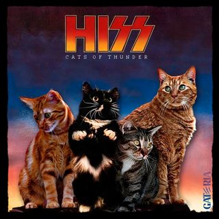 Nome do produtoCamiseta Kiss - Cats Of Thunder - Preto