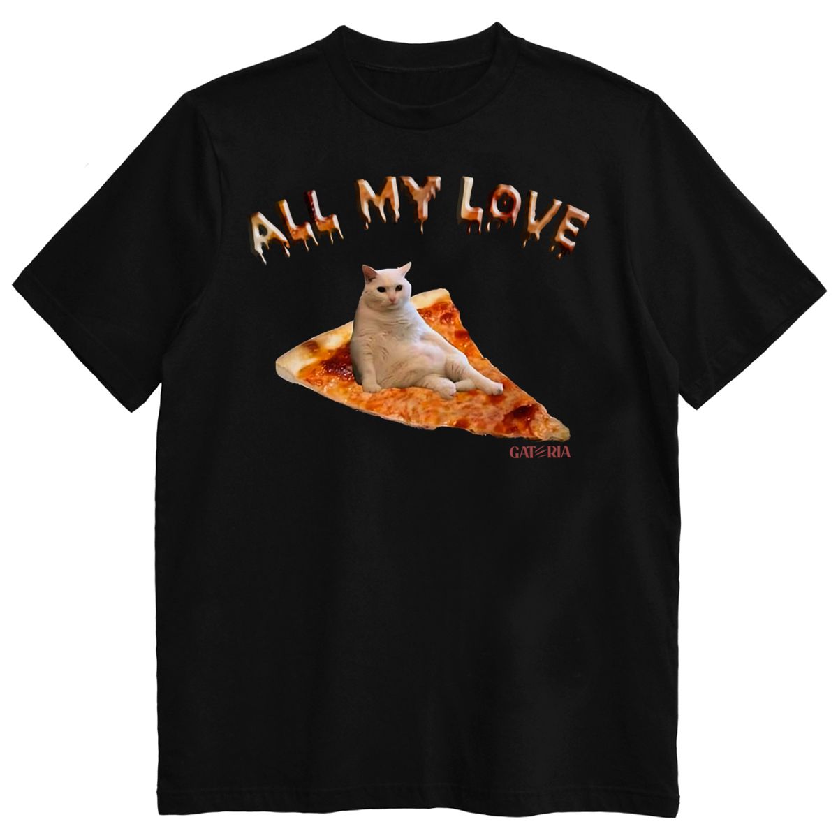 Nome do produto: Camiseta All My Love - Gatos e Pizza