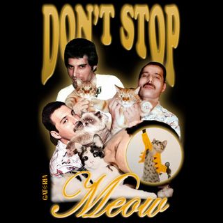 Nome do produtoCamiseta Freddie Mercury - Don't Stop Meow - Preto