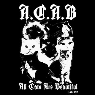 Nome do produtoMoletom ACAB - All Cats Are Beautifull