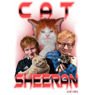 Nome do produtoCamiseta Cat Sheeran - Branco