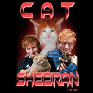 Nome do produtoCamiseta Cat Sheeran - Preto