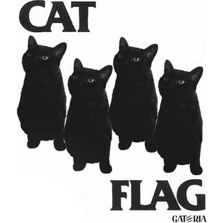 Nome do produtoMoletom Canguru - Cat Flag - Branco