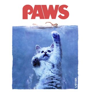 Nome do produtoMoletom Tubarão - Paws - Branco