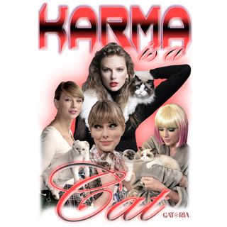 Nome do produtoCamiseta Taylor Swift - Karma Is A Cat - Branco