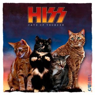 Nome do produtoCamiseta Kiss - Cats Of Thunder - Branco