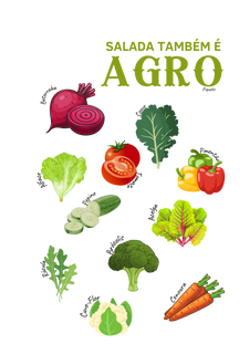 Nome do produtoCamiseta Salada também é Agro - Infantil 2 a 14 A
