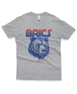 Nome do produtoCamiseta Brics Urso