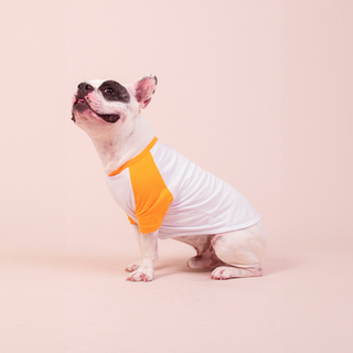 Nome do produtoCamisa Pet Dog Promovido a Irmão Mais Velho - 100% Algodão - Estampa nas Costas