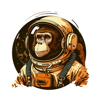 Nome do produtoCamizoeira Macaco Astronauta