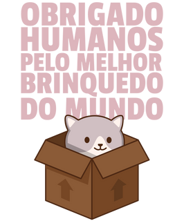 Nome do produtoGatinho na caixa