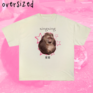 Nome do produtoCamiseta Oversized 'XINGXING'