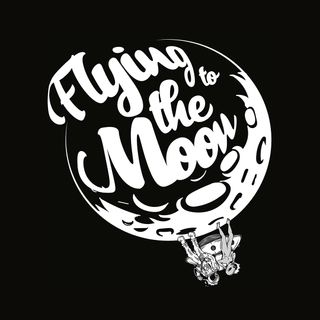 Nome do produtoT-SHIRT QUALITY FLYING TO THE MOON - EDIÇÃO LIMITADA