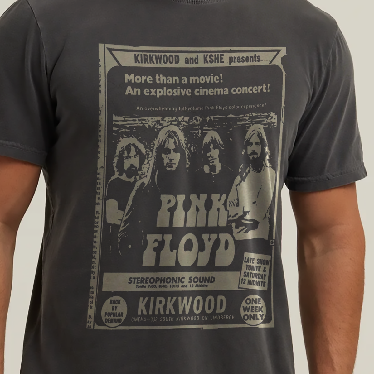 Nome do produto: T-SHIRT ESTONADA PINK FLOYD POSTER