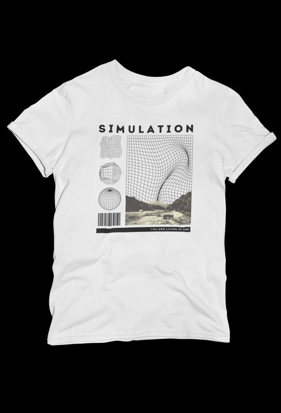 Simulation (Arte Escura)