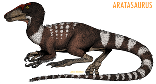 Nome do produtoCamiseta Baby Long Aratasaurus