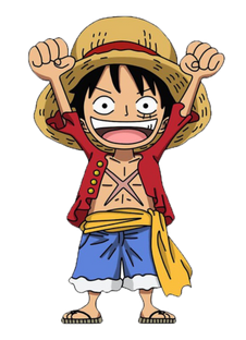 Nome do produtoOne Piece - Infantil (2-8)